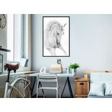  Poster - Beauty in Motion 40x60 | shoptok.hr