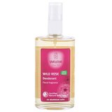Weleda Wild Rose deodorant iz vrtnic brez aluminijevih soli 100 ml za ženske | Shoptok.si