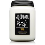 Milkhouse Candle Co. Farmhouse Woodland Frost dišeča sveča I. 737 g Cene