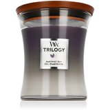 WoodWick Trilogy Medium Hourglass Candles Scented Candle Amethyst Sky 275 g Cijene