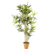Modern Living Umetna Rastlina Noah | Shoptok.si