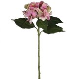 MICA Umjetni cvijet Hortenzija (Visina: 51 cm, Roze boje, Plastika) Cijene