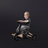 Qplay tricikel 5v1 Nova Rubber Gold | Shoptok.si