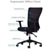 Hanah home Kancelarijska stolica Lumbar 108 Black | ePonuda.com