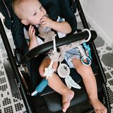 BabyOno Raccoon kontrastna viseča igrača 0m+ 1 kos | Shoptok.si