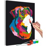  Slika za samostalno slikanje - Colourful Dog 40x60 | shoptok.hr