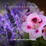 Friendly Soap Natural Shampoo Bar Lavender & Geranium naravno milo za lase 7x95 g | Shoptok.si