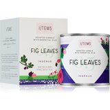 Items Artist Collection 05 / Fig Leaves dišeča sveča 100 g | Shoptok.si