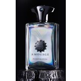 Amouage Portrayal Man parfumska voda 100 ml za moške | Shoptok.si