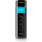 Subrina Professional Direct Colour intenzivna barva brez amoniaka in brez oksidacijske emulzije odtenek Turquoise 200 ml Cene