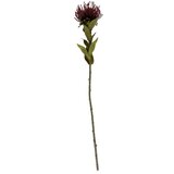 PT LIVING Umetna rastlina (višina 60 cm) Protea – Cene