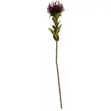 PT LIVING Umetna rastlina (višina 60 cm) Protea –