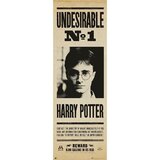 HARRY POTTER PLAKAT PUERTA NEZAŽELEN N§1, (20837442) | Shoptok.si