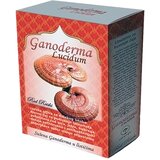 Zdravlje Reiši (ganoderma lucidum) u sušenim listićima za čaj EP, 50g | ePonuda.com