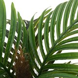  Umjetna palma 6 listova 100 cm zelena | Eponuda.com