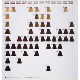 Goldwell Topchic Permanent Hair Color boja za kosu nijansa 6VV@Pk 60 ml | shoptok.hr