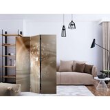  Paravan u 3 dijela - Solar Illusion [Room Dividers] 135x172 | shoptok.hr