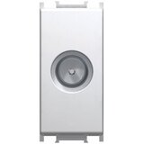 MODUL TV / AUDIO VTIČNICA OSNOVNA TV BELA, 0 DB, 1M, BOK | Shoptok.si