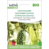 Sativa Bio Melothria scabra "Kumara Cocktail " Cene