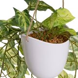 Casa Selección Umetne rastline v kompletu 2 ks (višina 55 cm) – | Shoptok.si