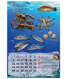  KALENDAR "RIBARNICA 2026" 13 LISTOV, SPIRALA | Shoptok.si