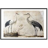  Plakat - Birds from an Old Engraving - vintage-style illustration of a heron and a crane 90x60 Crni okvir s margom | shoptok.hr