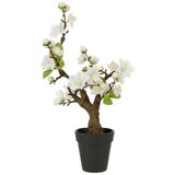 Modern Living Umetna Rastlina Kirschblütenbonsai I Cene