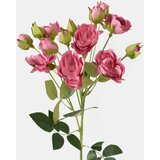 Sinsay Ukrasna umjetna biljka | shoptok.hr