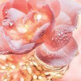Bvlgari Rose Goldea parfumska voda 90 ml za ženske | Shoptok.si