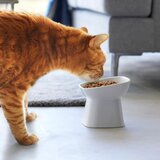 YAMAZAKI Keramička zdjela za hranu za ljubimce za kućne ljubimce Tower – | shoptok.hr
