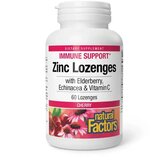 Esensa Cink sa echinaceom, bobicama zove i vitaminom C, 60 lozengi Cene