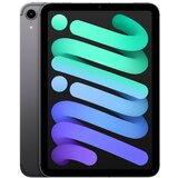 Apple iPad mini Wi-Fi + Cellular 256GB Space Gray (2021) | shoptok.hr