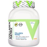 Vitalikum collagen matrix sa ukusom manga, 300g
