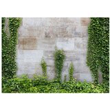  Tapeta - The Forgotten Garden 350x245 | shoptok.hr