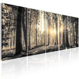  Slika - Shadow Guards 200x80 Cijene