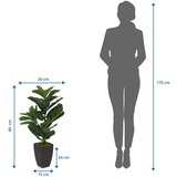 MID.YOU Umetna Rastlina Lyrata | Shoptok.si