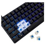 White Shark Tipkovnica GK-005121 HAMACHI Mehanska RGB / US - MODRA SW., (5000009741) | Shoptok.si