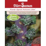 Dürr Samen Zelje Flower-Sprout Autumn Star® | Shoptok.si
