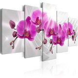  Slika - Abstract Garden: Pink Orchids 100x50 Cijene