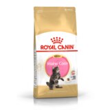 Royal Canin FBN Maine Coon KITTEN, potpuna i uravnotežena hrana za mačke, specijalno za mačiće pasmine Maine Coon do 15 mjeseci starosti, 10 kg | shoptok.hr