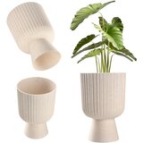 KADAX cvetlični lonec, cvetlični lonec, trata, plastični pokrov, 14 cm, stojalo za rože, bež, (5000346097) Cene