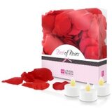 LoversPremium Listi vrtnic Bed Of Roses Cene