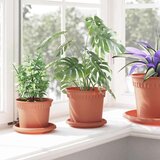  Krožni cvetlični pladenj 24 pcs Kamnito rdeča Ø 14 x 2 cm, (5000207500) | Shoptok.si