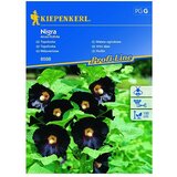 KIEPENKERL Sjeme cvijeća Vrtni sljez Nigra (Alcea ficifolia) | shoptok.hr