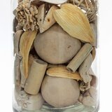 Kayoom OKRASNA STEKLENICA | Shoptok.si