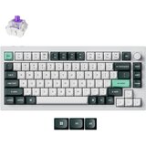 KEYCHRON Q1 HE brezžična mehanska tipkovnica Gateron nebula mag stikala RGB Bela (Q1H-P1-UK), (5000331422) | Shoptok.si