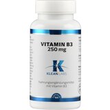 Vitamin B3 250 mg - 100 kaps. | Shoptok.si