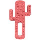 Minikoioi grizalo cactus silikonsko kaktus rose Cene