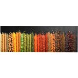 vidaXL Kuhinjska talna preproga pralna začimbe 45x150 cm | Shoptok.si