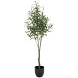 MID.YOU Umetna Rastlina Olive | Shoptok.si